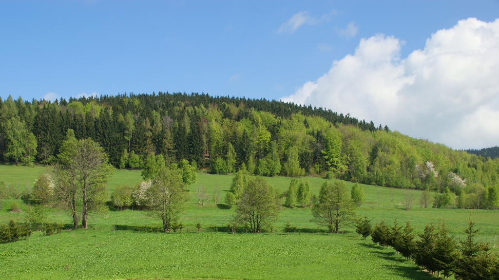 Villa La Val, Karkonosze Szarocin Eksteriør billede