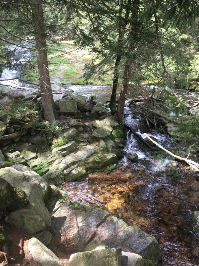 Villa La Val, Karkonosze Szarocin Eksteriør billede